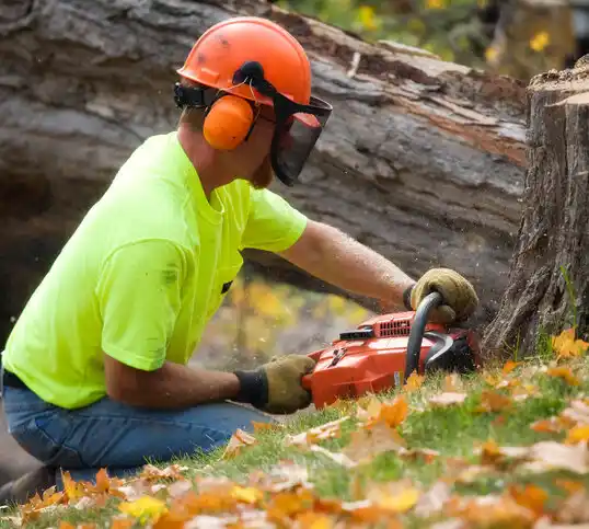 tree services Brewer